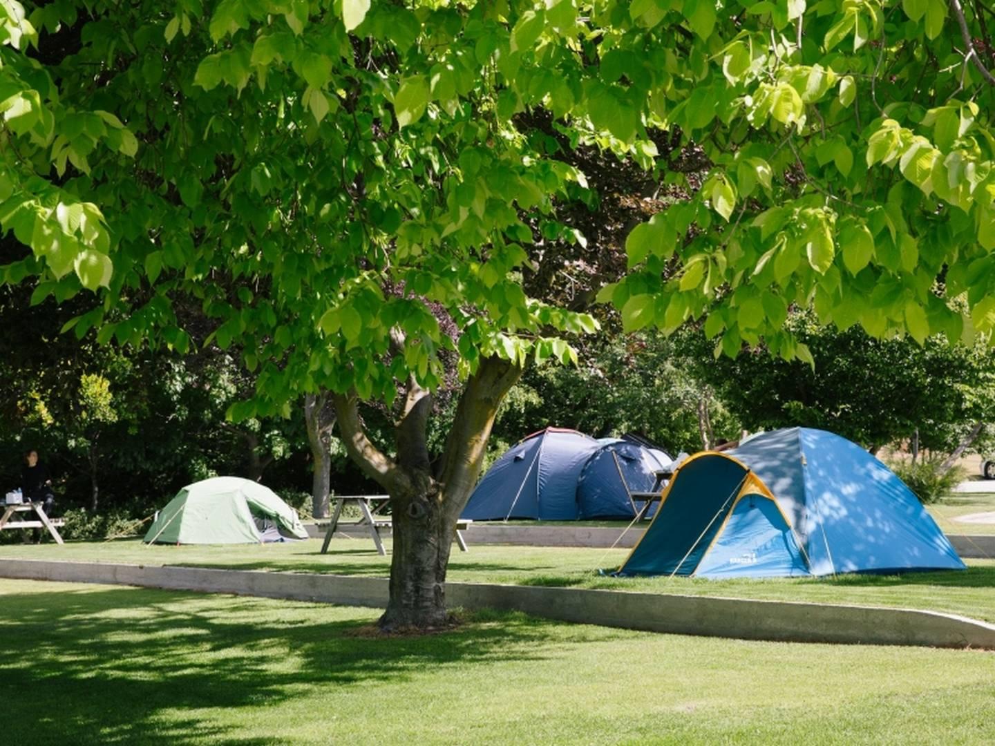 Tents set up on grass site