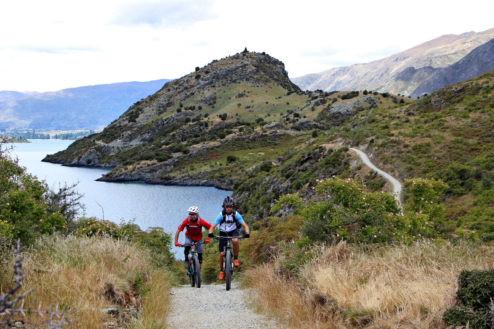 Cyclists mountain biking the Glendhu Bay track by Lake Wanaka.